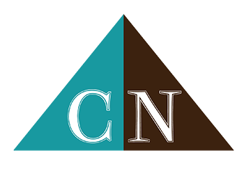 Cyndy_Nguyen_Logo_Only_Color_sm